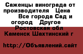 Саженцы винограда от производителя › Цена ­ 800 - Все города Сад и огород » Другое   . Ростовская обл.,Каменск-Шахтинский г.